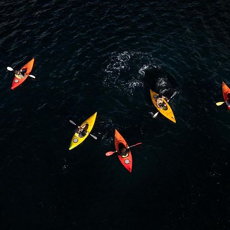 Milford Sound Overnight Cruise - Fiordland Discovery المظهر الخارجي الصورة